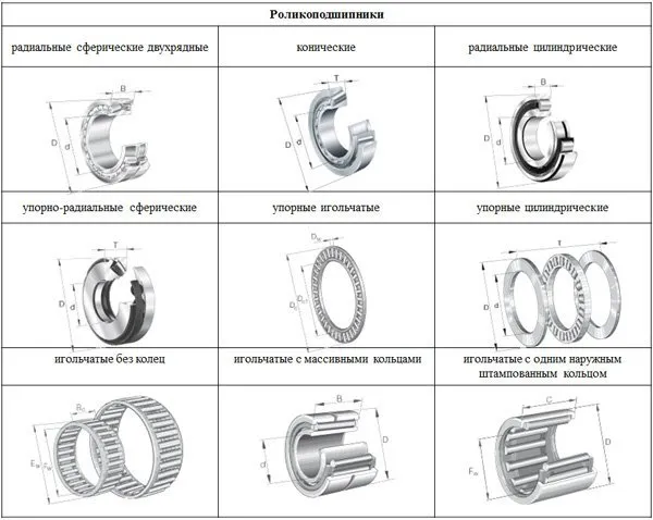 shafler4.jpg shafler4.jpg